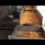 avtomatsko plastično vrečko rižev fižol semena pakirni stroji